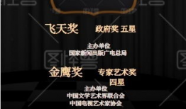 电视剧奖项有哪些,盘点电视剧界的璀璨奖项