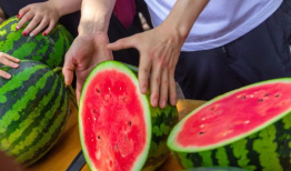 17c免费吃瓜爆料,揭秘娱乐圈幕后真相